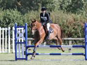Image 8 in SOUTH NORFOLK PONY CLUB. ODE. 16 SEPT. 2018 THE GALLERY COMPRISES SHOW JUMPING, 60 70 AND 80, FOLLOWED BY 90 AND 100 IN THE CROSS COUNTRY PHASE.  GALLERY COMPLETE.