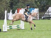 Image 11 in BECCLES AND BUNGAY RC. ODE. 23 SEPT. 2018. DUE TO PERSISTENT RAIN, HAVE ONLY MANAGED SHOW JUMPING PICTURES. GALLERY COMPLETE.