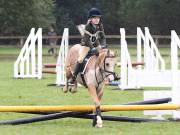Image 14 in BECCLES AND BUNGAY RC. ODE. 23 SEPT. 2018. DUE TO PERSISTENT RAIN, HAVE ONLY MANAGED SHOW JUMPING PICTURES. GALLERY COMPLETE.