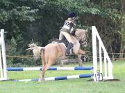 Image 15 in BECCLES AND BUNGAY RC. ODE. 23 SEPT. 2018. DUE TO PERSISTENT RAIN, HAVE ONLY MANAGED SHOW JUMPING PICTURES. GALLERY COMPLETE.