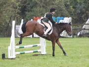 Image 29 in BECCLES AND BUNGAY RC. ODE. 23 SEPT. 2018. DUE TO PERSISTENT RAIN, HAVE ONLY MANAGED SHOW JUMPING PICTURES. GALLERY COMPLETE.