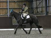 Image 13 in DRESSAGE AT WORLD HORSE WELFARE. 6TH OCTOBER 2018