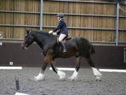 Image 29 in DRESSAGE AT WORLD HORSE WELFARE. 6TH OCTOBER 2018