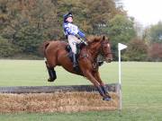 Image 10 in BECCLES AND BUNGAY RIDING CLUB. HUNTER TRIAL. 14TH. OCTOBER 2018
