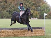 Image 11 in BECCLES AND BUNGAY RIDING CLUB. HUNTER TRIAL. 14TH. OCTOBER 2018