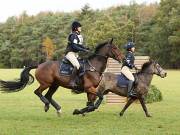 Image 13 in BECCLES AND BUNGAY RIDING CLUB. HUNTER TRIAL. 14TH. OCTOBER 2018