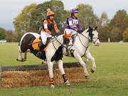 Image 16 in BECCLES AND BUNGAY RIDING CLUB. HUNTER TRIAL. 14TH. OCTOBER 2018