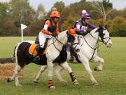 Image 18 in BECCLES AND BUNGAY RIDING CLUB. HUNTER TRIAL. 14TH. OCTOBER 2018