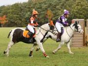 Image 19 in BECCLES AND BUNGAY RIDING CLUB. HUNTER TRIAL. 14TH. OCTOBER 2018