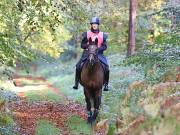 Image 10 in ANGLIAN DISTANCE RIDERS. BRANDON. 28TH OCTOBER 2018.