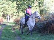 Image 18 in ANGLIAN DISTANCE RIDERS. BRANDON. 28TH OCTOBER 2018.