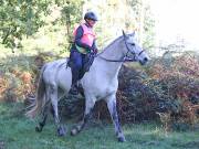 Image 20 in ANGLIAN DISTANCE RIDERS. BRANDON. 28TH OCTOBER 2018.