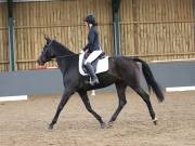 Image 1 in BECCLES AND BUNGAY RIDING CLUB. DRESSAGE.4TH. NOVEMBER 2018