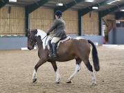 Image 19 in BECCLES AND BUNGAY RIDING CLUB. DRESSAGE.4TH. NOVEMBER 2018