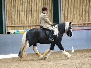 Image 9 in BECCLES AND BUNGAY RIDING CLUB. DRESSAGE.4TH. NOVEMBER 2018