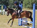 Image 24 in SOUTH NORFOLK PONY CLUB 28 JULY 2018. FROM THE SHOW JUMPING CLASSES.