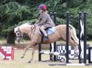 Image 6 in SOUTH NORFOLK PONY CLUB 28 JULY 2018. FROM THE SHOW JUMPING CLASSES.