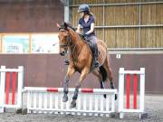 WORLD HORSE WELFARE. CLEAR ROUND SHOW JUMPING WITH ALI PEARSON. 13 JULY 2019
