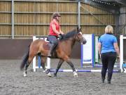 Image 20 in WORLD HORSE WELFARE. CLEAR ROUND SHOW JUMPING WITH ALI PEARSON. 13 JULY 2019