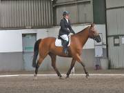 Image 18 in DRESSAGE AT NEWTON HALL EQUITATION. 1 SEPT. 2019