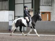 Image 2 in DRESSAGE AT NEWTON HALL EQUITATION. 1 SEPT. 2019