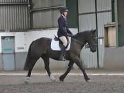 Image 20 in DRESSAGE AT NEWTON HALL EQUITATION. 1 SEPT. 2019