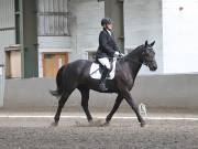 Image 22 in DRESSAGE AT NEWTON HALL EQUITATION. 1 SEPT. 2019