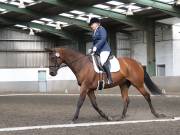 Image 26 in DRESSAGE AT NEWTON HALL EQUITATION. 1 SEPT. 2019
