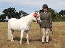 Image 17 in SUFFOLK RIDING CLUB. ANNUAL SHOW. 4 AUGUST 2018. THE ROSETTES.