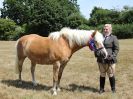 Image 5 in SUFFOLK RIDING CLUB. ANNUAL SHOW. 4 AUGUST 2018. THE ROSETTES.