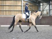Image 1 in DRESSAGE AT WORLD HORSE WELFARE. 7TH SEPTEMBER 2019