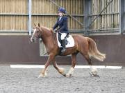 Image 22 in DRESSAGE AT WORLD HORSE WELFARE. 7TH SEPTEMBER 2019