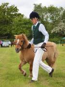 Image 10 in BERGH  APTON  HORSE  SHOW.  PART  TWO.