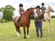 Image 13 in BERGH  APTON  HORSE  SHOW.  PART  TWO.