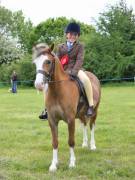 Image 14 in BERGH  APTON  HORSE  SHOW.  PART  TWO.
