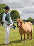 Image 2 in BERGH  APTON  HORSE  SHOW.  PART  TWO.