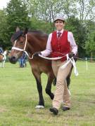 Image 21 in BERGH  APTON  HORSE  SHOW.  PART  TWO.