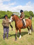 Image 26 in BERGH  APTON  HORSE  SHOW.  PART  TWO.