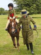 Image 30 in BERGH  APTON  HORSE  SHOW.  PART  TWO.