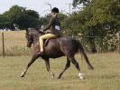 Image 1 in SUFFOLK RIDING CLUB. 4 AUGUST 2018. SHOWING RINGS