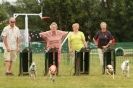 40TH ANNIV. OF EAST ANGLIAN WHIPPET CLUB