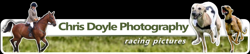 Lampy Pics Header Graphic - Whippet Racing Photography