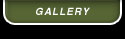 Gallery Button