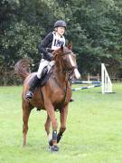 Image 128 in Unnamed Gallery