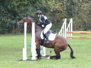 Image 131 in Unnamed Gallery