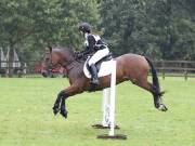 Image 132 in Unnamed Gallery