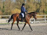 Image 141 in Unnamed Gallery