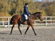 Image 142 in Unnamed Gallery