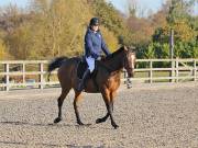 Image 143 in Unnamed Gallery