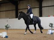 Image 149 in Unnamed Gallery